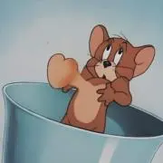 タコライス