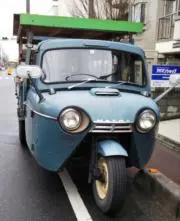 琴の画像