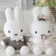 miffy♡