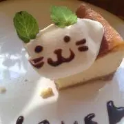にゃんの画像