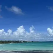 ターキーの画像