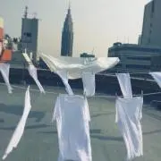 すずの画像
