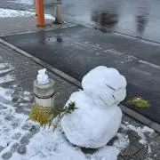 コットンの画像