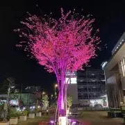 うさぎ