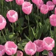 プロフィール見てください☺︎の画像