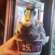 kahの画像