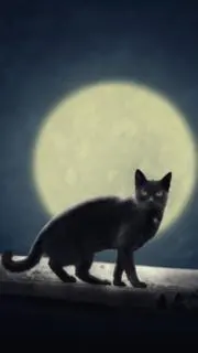 ☆☆☆