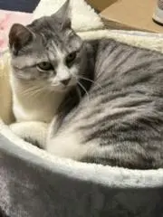 しおの画像