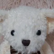 テディベアの画像