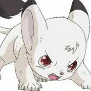 kz 565の画像