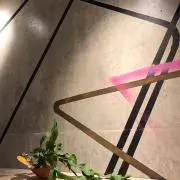 maaの画像
