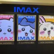 ぴーやぴーやの画像