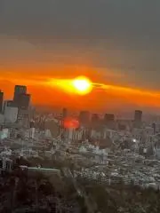 heavy7077の画像