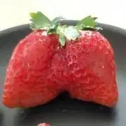 ハラダの画像