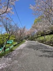 uzu