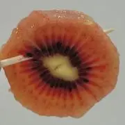 ：