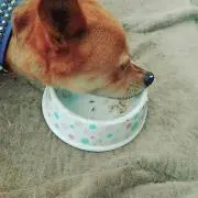 こう