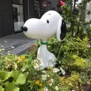 しゃみの画像