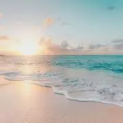 もるの画像