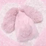 あさひなの画像