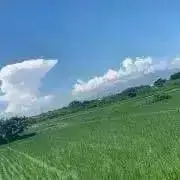 こしあん