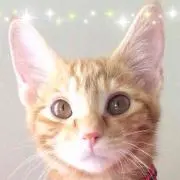 りす王国
