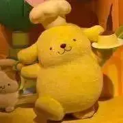 ripiの画像