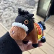セレネ（断捨離中）の画像