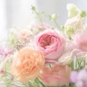 みどりまん⭐︎フォロワー割あり‼︎の画像