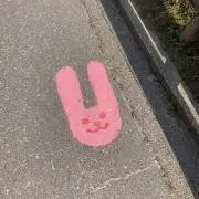 ここぺぺの画像