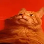 なおの画像
