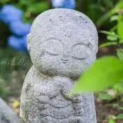 Cordéliaの画像