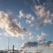 Liの画像
