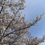 kの画像