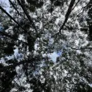 Twodoorsの画像