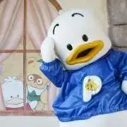 pの画像