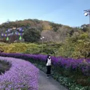 青空の画像