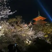 TTの画像