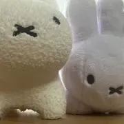 ミッフィの画像