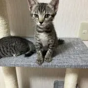 すずちゃん