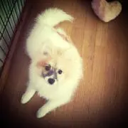 ゆーの画像