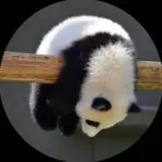 yの画像