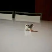 08の画像