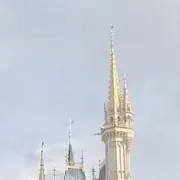 りすの画像