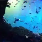 *pun*の画像