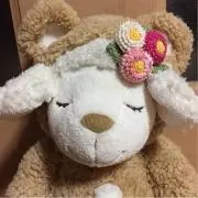 メイちゃん