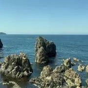 ぱるむの画像