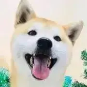 うめちゃんの画像
