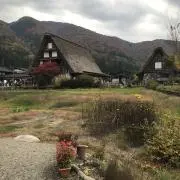 フォルザの画像