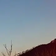 めぐの画像